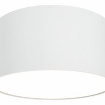 Потолочный светильник Maytoni Zon C032CL-12W3K-RD-W
