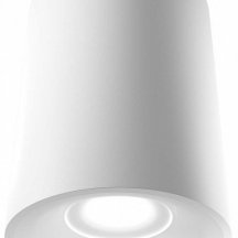 Накладной светильник LIGHTERA Shamrock LE200CL-1W