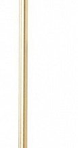 Настенный светодиодный светильник Loft IT Rays 10056GD