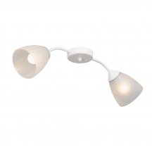 Люстра для натяжных потолков Vitaluce  V3750/2PL