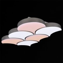 Потолочный светильник Reluce 01218-0.3-06LED