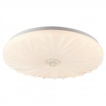 Потолочный светильник с пультом ДУ Lussole  lSP-8318