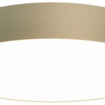 Потолочный светильник Maytoni Zon C032CL-45W3K-RD-MG