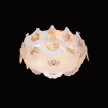 Потолочный светильник Infinita FL1152-5C