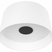 Потолочный светодиодный светильник Loft IT Duo 10360L White