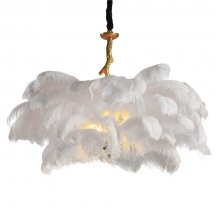 Элитная подвесная люстра L'Arte Luce Feather Lamp L03408.02