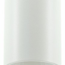 Накладной светильник LIGHTERA Shamrock LE200CL-1W