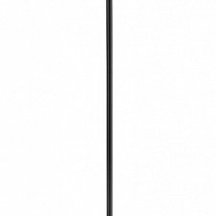 Торшер Lumion Launa 8043/1F