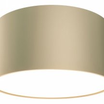 Потолочный светильник Maytoni Zon C032CL-12W4K-RD-MG