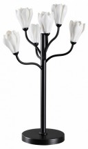 Интерьерная настольная лампа Odeon Light Gardi 5090/6T