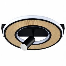 Потолочный светильник Lumion Pine 6572/24CL