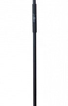 Торшер Arte Lamp Sceptrum A1822PN-1BK