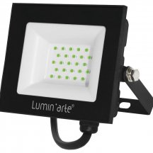 Настенно-потолочный прожектор Luminarte LFL LFL-30W/07