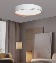 Потолочный светильник Alfa Light F0724-32