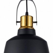 Подвесной светильник лофт Arti Lampadari  priamo E 1.3.P2 B