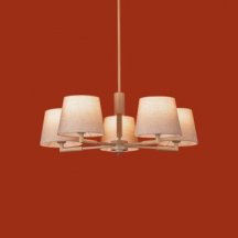 Потолочная люстра Butler FR2057PL-05BG