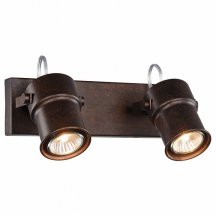 Потолочный светильник лофт Favourite  2025-2W