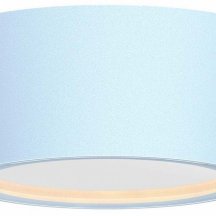 Накладной светильник Favourite Fantum 4676-1U