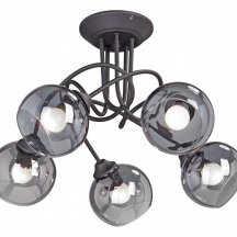 Потолочная люстра Vitaluce V4309-1/5PL