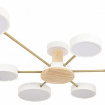 Потолочная люстра Loft IT Sunrise 10316/6 White