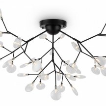 Немецкая потолочная люстра Freya Florencia FR5049CL-36B
