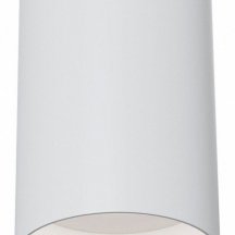 Потолочный светильник Maytoni Alfa C014CL-01W