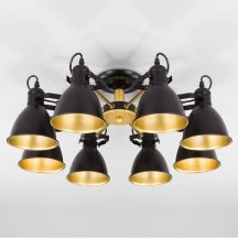 Элитная потолочная люстра Eurosvet Denley 70112/8 черный