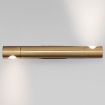 Настенный светильник Eurosvet Tybee 40161 LED латунь
