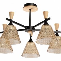 Люстра на штанге De City Дэла 45 635015605