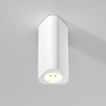 Потолочный светильник Elektrostandard 25110/LED a067063 Потолочный светильник Elektrostandard 25110/LED a067063