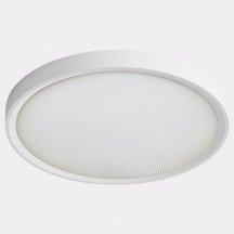 Потолочный светодиодный светильник Italline IT011-5024 white