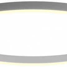 Потолочный светильник 0520834