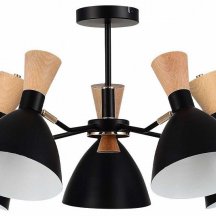 Элитная люстра Evoluce VISTA SLE1256-402-05