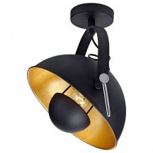 Спот Lussole Loft Bollo GRLSP-9825 в стиле Лофт