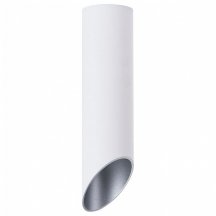 Потолочный светильник Arte Lamp Pilon-Silver A1535PL-1WH