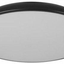 Потолочный светильник LOFT IT Dime 10371 Black