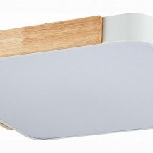 Потолочный светильник Evoluce Festa SLE201252-01