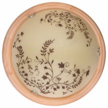 Настенно-потолочный светильник Toplight Irene TL9630Y-00PN