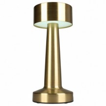 Интерьерная настольная лампа Aployt Perrayn APL.671.04.01