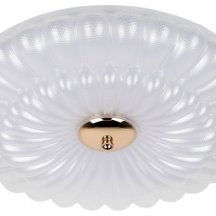 Потолочный светильник  SPB-6 Chester 48W-5K WH+GD