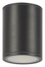 Потолочный светильник Maytoni уличный Bar O306CL-L12GF