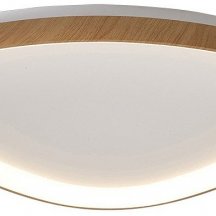 Потолочный светодиодный светильник Mantra Niseko II 8636