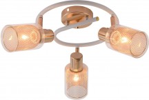 Спот Reluce 96125-3.8-03A WH+FGD