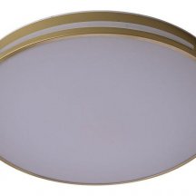 Потолочный светильник Zortes Gabby ZRS.90610.50