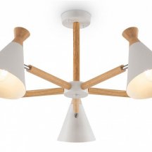 Потолочная люстра Freya Rise FR5169PL-05W