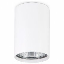 Потолочный светильник Ambrella light Techno Spot TN213101