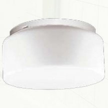 Настенно-потолочный светильник на кухню Arte Lamp  a7720PL-1WH