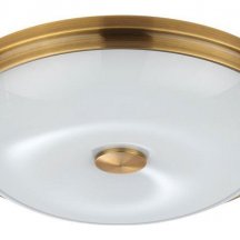 Потолочный светильник Odeon Light Pelow 4956/4 (Италия)