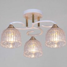 Потолочная люстра Reluce 16360-0.3-03 WH+FG
