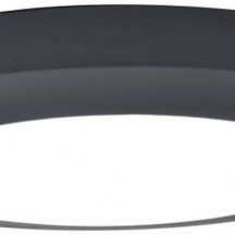 Потолочный светильник уличный Oasis Light SIDNEY LED W3922 Gr